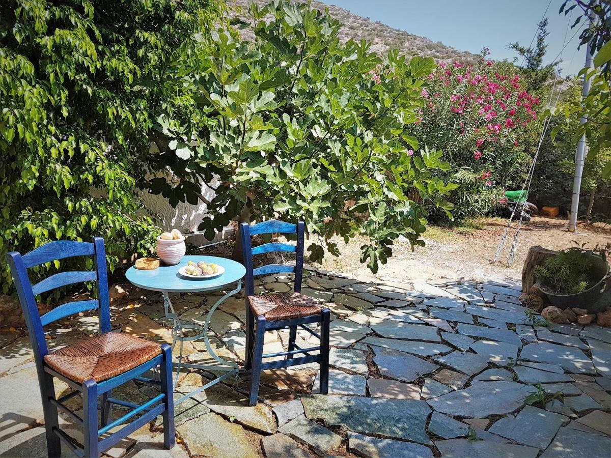 Nadia'S Traditional Greek House 아나비소스 외부 사진